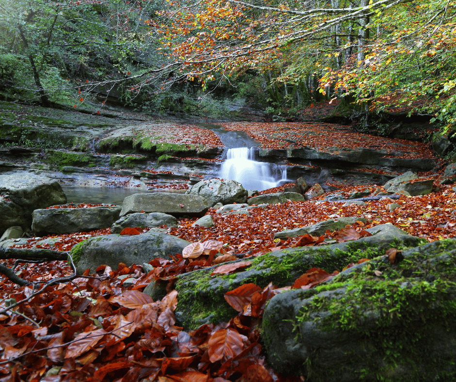 casentino italia